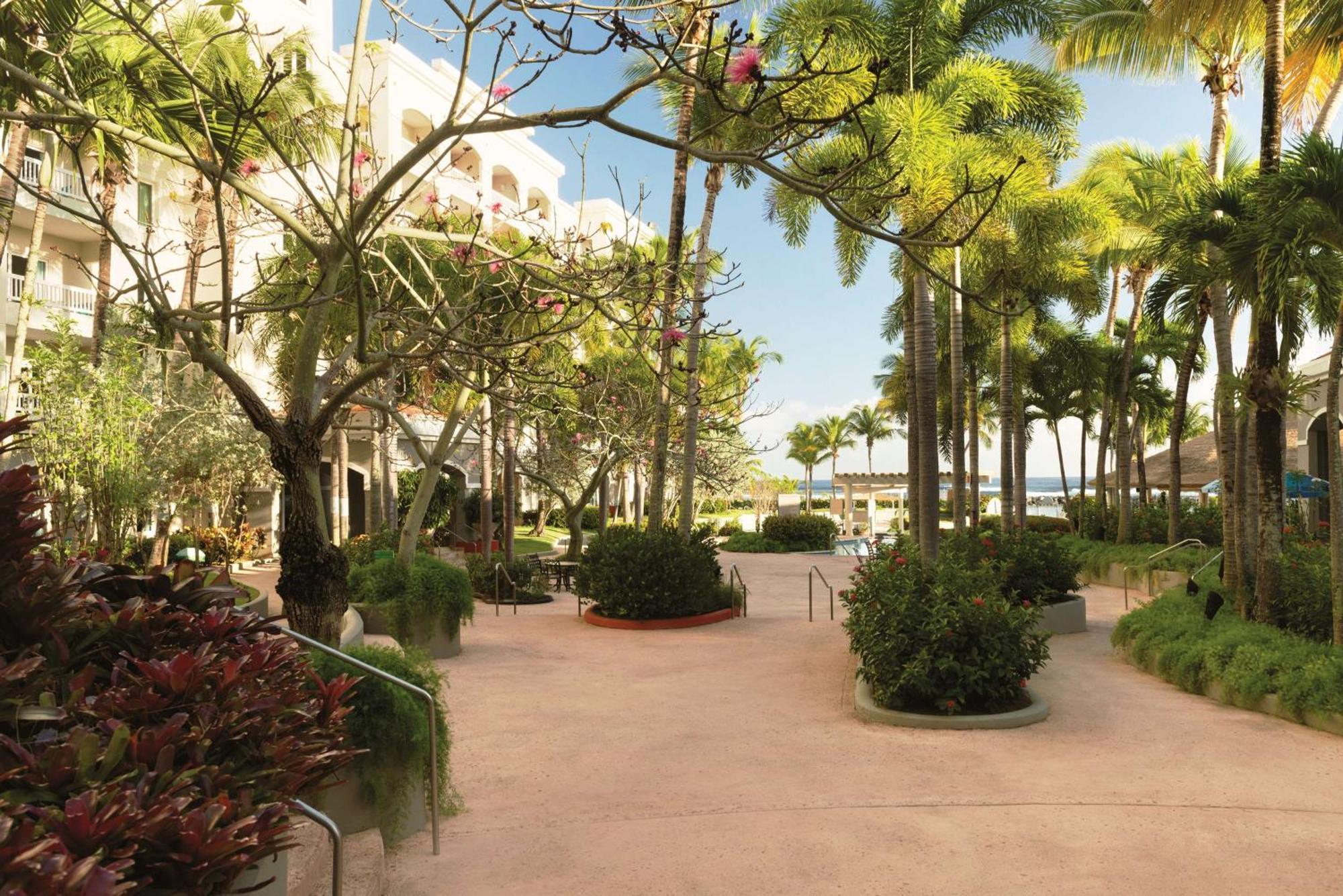 Embassy Suites By Hilton Dorado Del Mar Beach Resort Zewnętrze zdjęcie